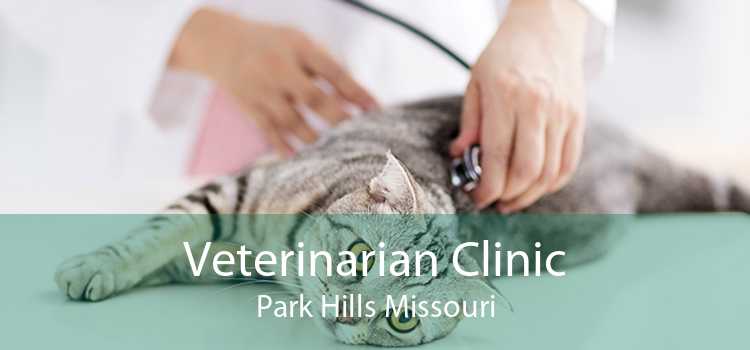 Veterinarian Clinic Park Hills Missouri