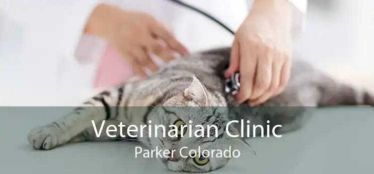 Veterinarian Clinic Parker Colorado