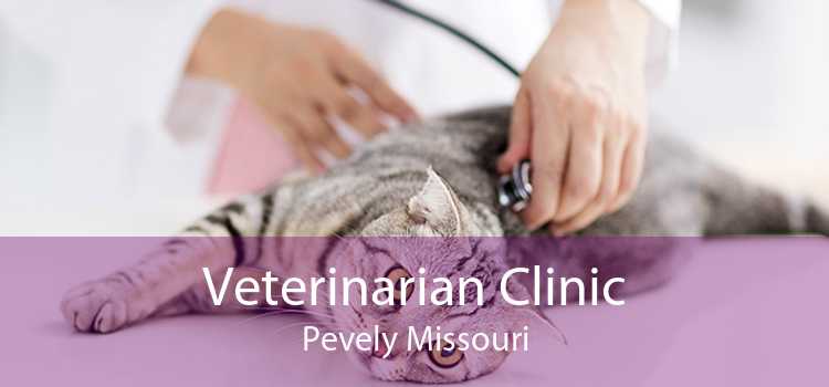 Veterinarian Clinic Pevely Missouri