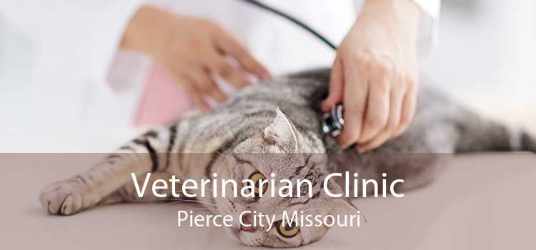Veterinarian Clinic Pierce City Missouri