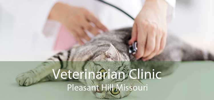 Veterinarian Clinic Pleasant Hill Missouri