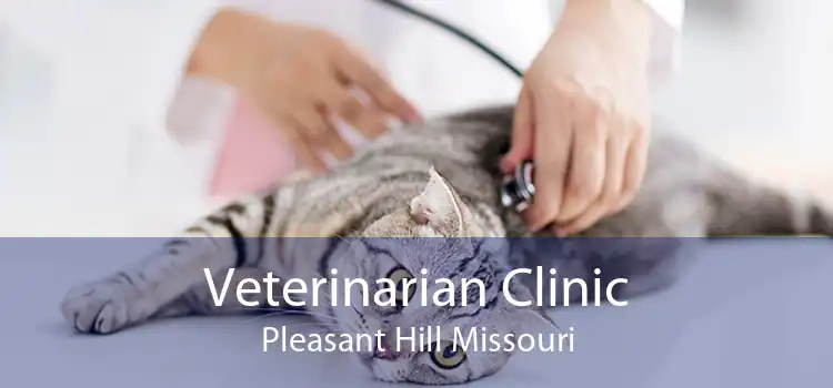 Veterinarian Clinic Pleasant Hill Missouri