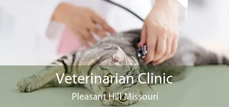 Veterinarian Clinic Pleasant Hill Missouri