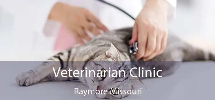 Veterinarian Clinic Raymore Missouri
