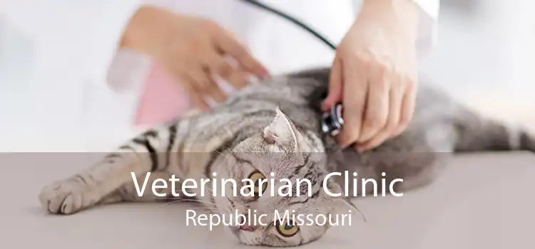 Veterinarian Clinic Republic Missouri