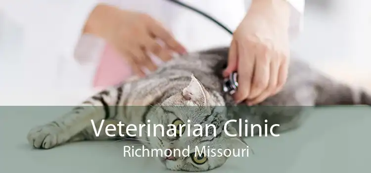 Veterinarian Clinic Richmond Missouri
