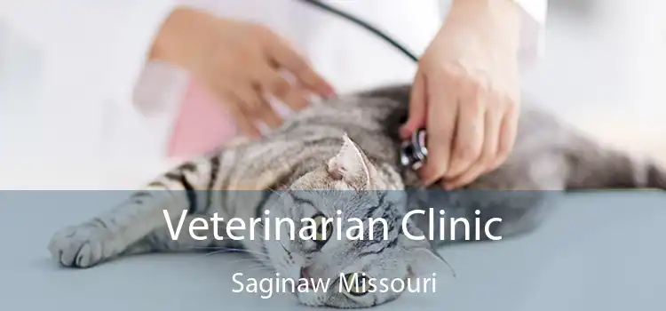 Veterinarian Clinic Saginaw Missouri