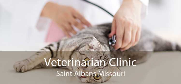Veterinarian Clinic Saint Albans Missouri