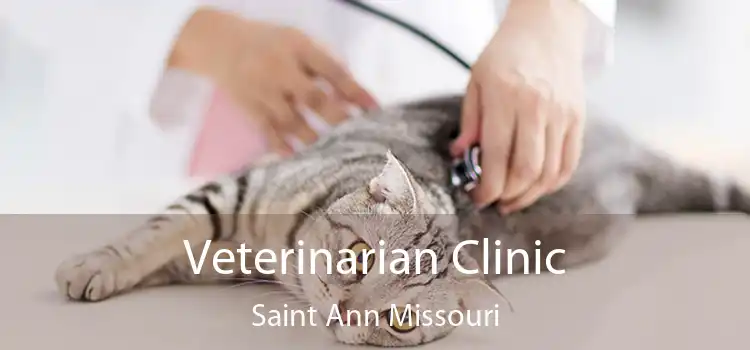 Veterinarian Clinic Saint Ann Missouri