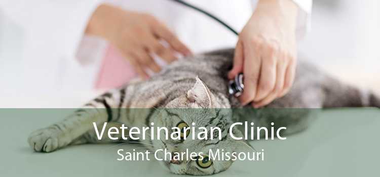 Veterinarian Clinic Saint Charles Missouri