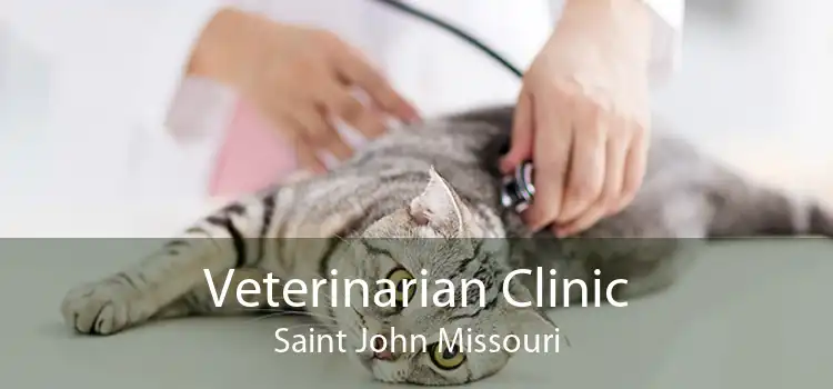 Veterinarian Clinic Saint John Missouri