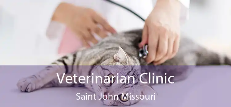 Veterinarian Clinic Saint John Missouri