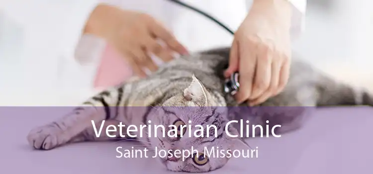Veterinarian Clinic Saint Joseph Missouri