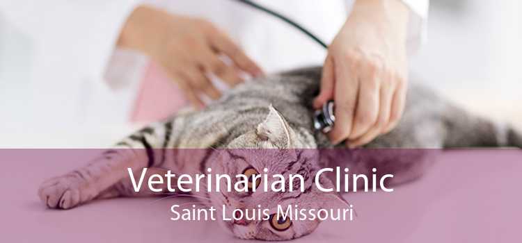 Veterinarian Clinic Saint Louis Missouri