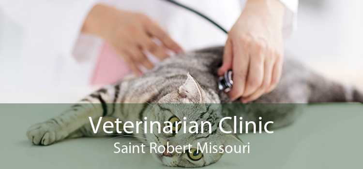 Veterinarian Clinic Saint Robert Missouri