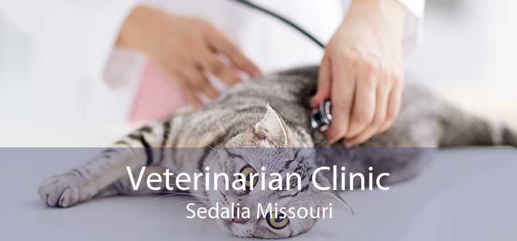 Veterinarian Clinic Sedalia Missouri