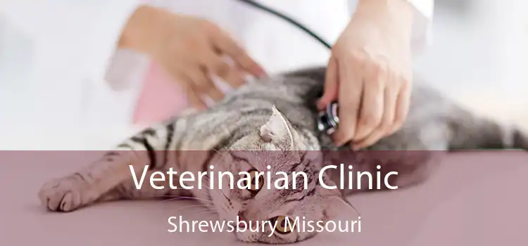 Veterinarian Clinic Shrewsbury Missouri