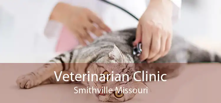 Veterinarian Clinic Smithville Missouri