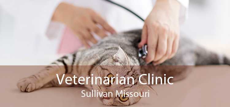 Veterinarian Clinic Sullivan Missouri