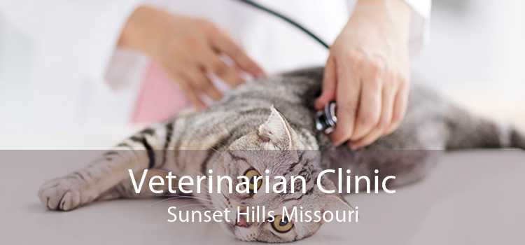 Veterinarian Clinic Sunset Hills Missouri