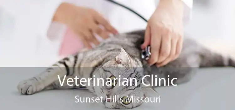 Veterinarian Clinic Sunset Hills Missouri