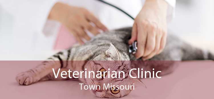 Veterinarian Clinic Town Missouri