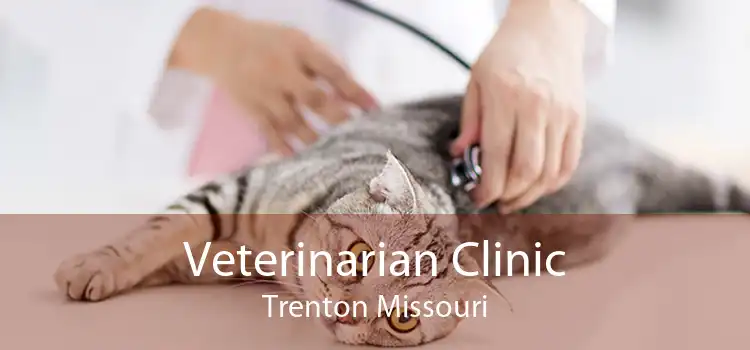 Veterinarian Clinic Trenton Missouri