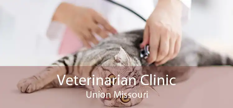 Veterinarian Clinic Union Missouri