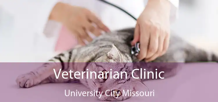 Veterinarian Clinic University City Missouri