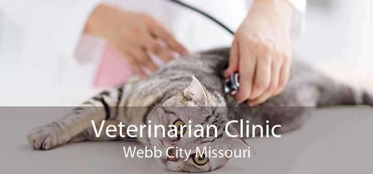 Veterinarian Clinic Webb City Missouri