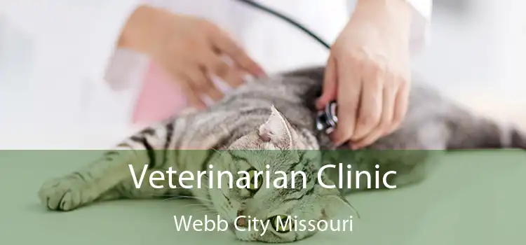 Veterinarian Clinic Webb City Missouri