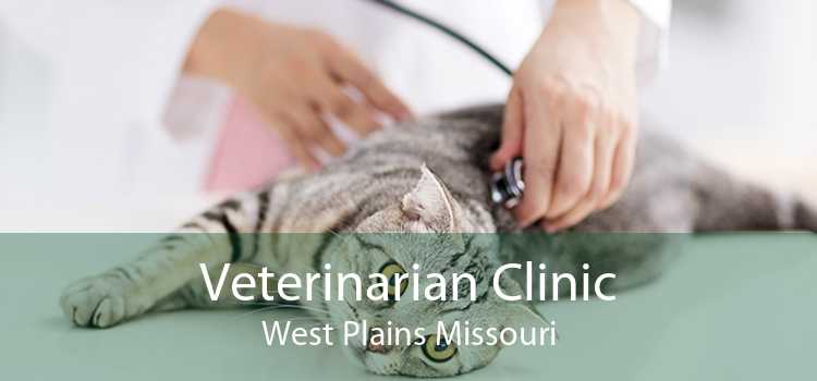 Veterinarian Clinic West Plains Missouri
