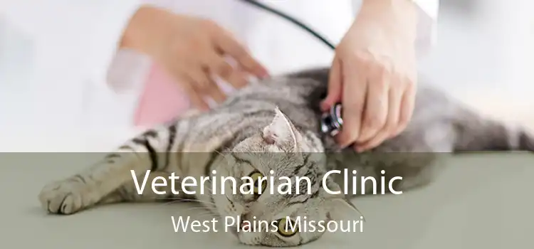 Veterinarian Clinic West Plains Missouri